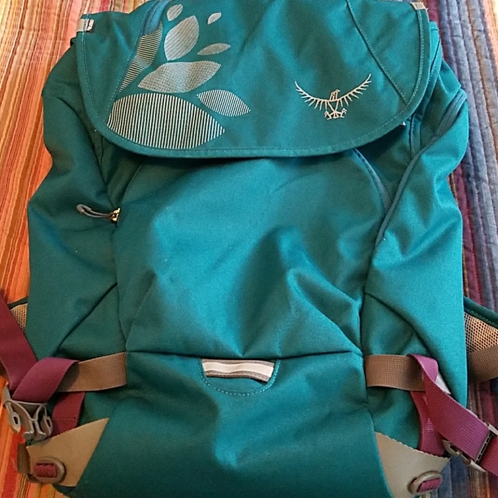 Osprey laptop back pack